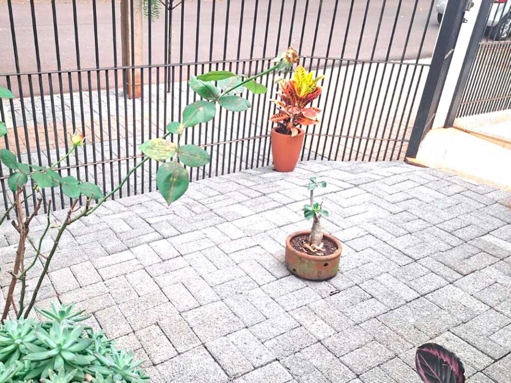 casa_bandeiras_11