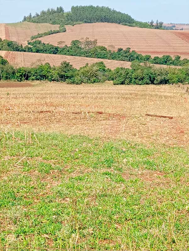sitio_camargo_02