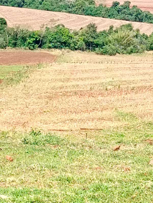 sitio_camargo_05