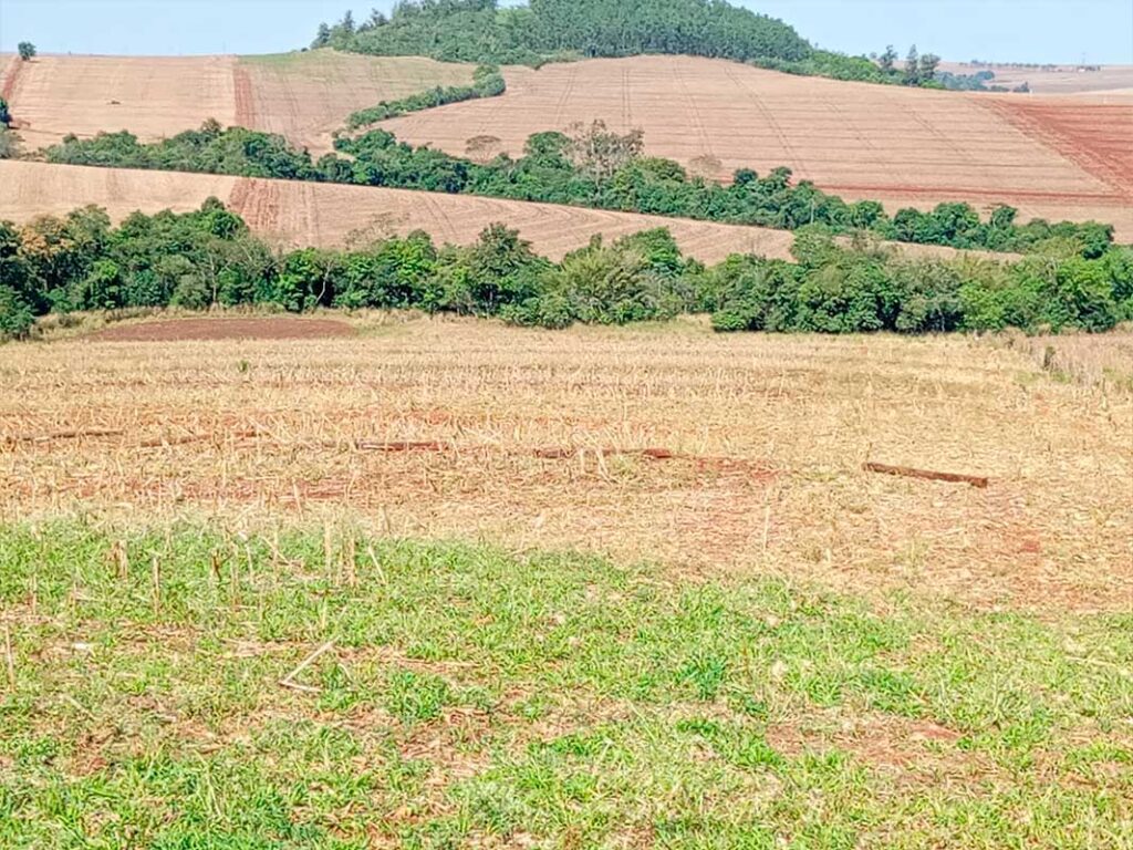 sitio_camargo_12