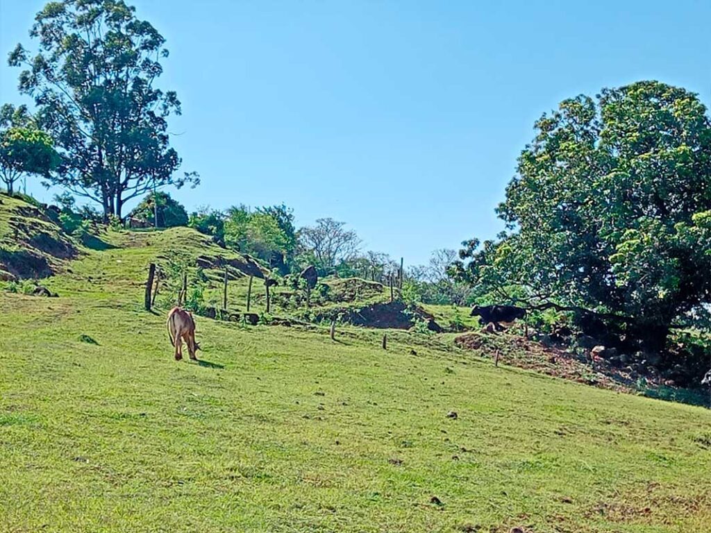 sitio_camargo_15