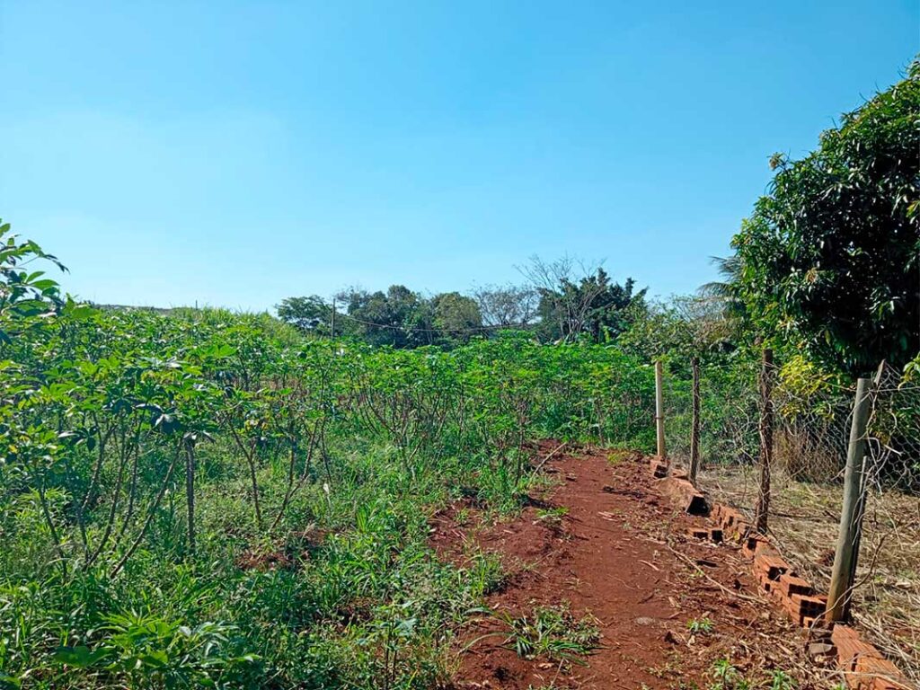 sitio_camargo_17