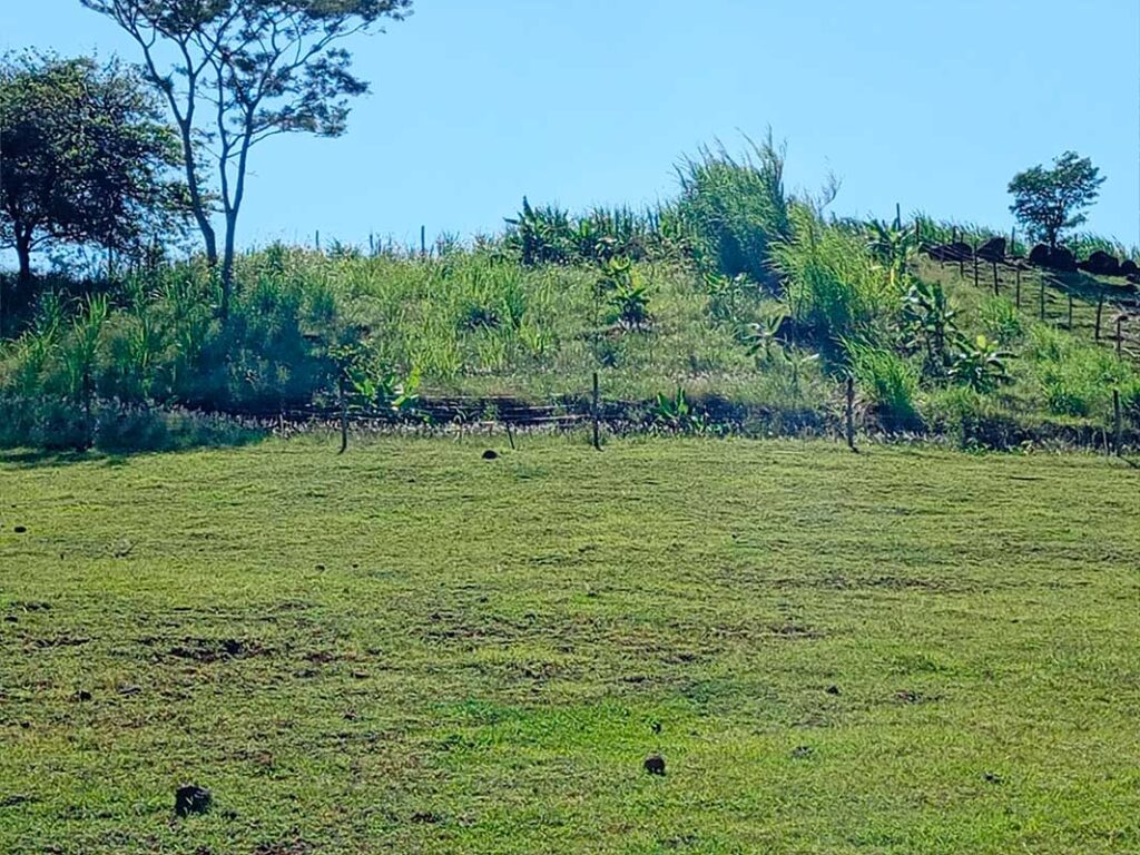 sitio_camargo_18