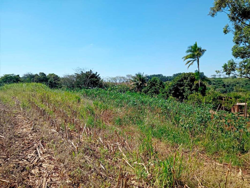 sitio_camargo_19